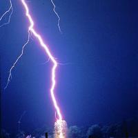 Lightning hitting a tree