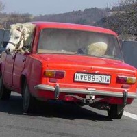 A tad overloaded perhaps?