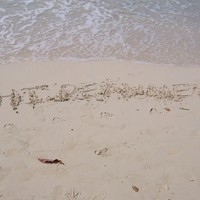 TO DEANNE LUV TOMMY