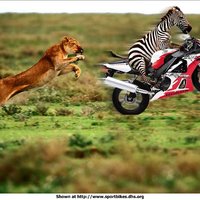 HERE I COME