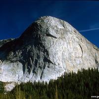This  'head' is much bigger than yours......