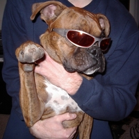 sup man, give me some dap!