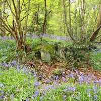 England in May is beautiful
