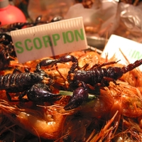 street snacks in bangkok