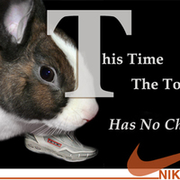 Tortoise and the hare