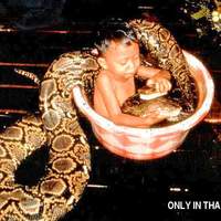 only in thailand