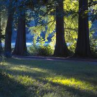 a peaceful wood to clean up ur dirty minds