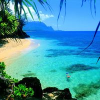 Amazing View 4