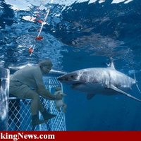 Steve Irwin's next Stunt