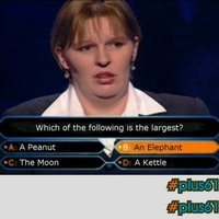 Dumbest Chick in the World