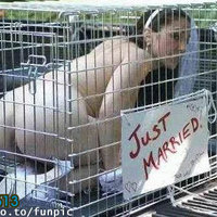 Just Married - Ohh the Bliss