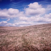Welsh countryside - Betws