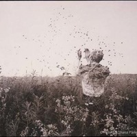 Bee Season