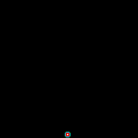 gif  firework
