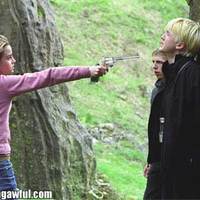 New Harry Potter