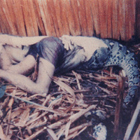 Eaten by a snake