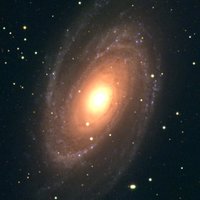 The M81 galaxy cluster