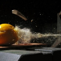 kill the fruit! -4