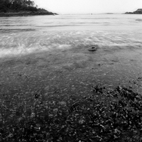 massachusettes shoreline
