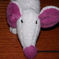 A Mouse