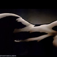 Black paint