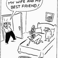 Man's best friend