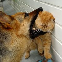 Just a little bite..