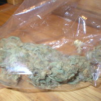 smoke em if you got em