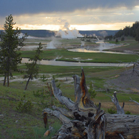 Yellowstone