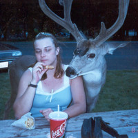 Blitzen has a hankering for fried foods