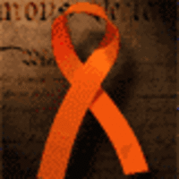 Orange Ribbon USA Democracy