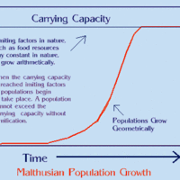 add cheap oil as a means to grow and transport food