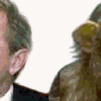 Bushmonkey's sexual preferences revealed!