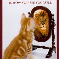 Self Image
