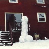 Anatomic Snowthing