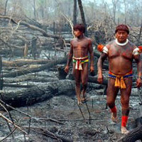 After a fire in Brazill