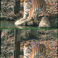 Different View Points