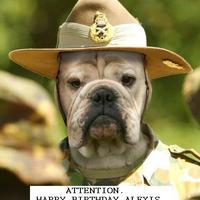 Military Mutt