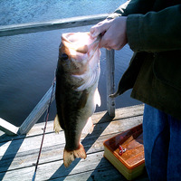  i caught this one, let kid hold