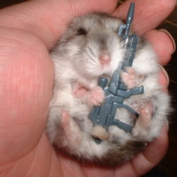 Furry commando
