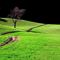 Black and Green - Monte Amiata, Italy