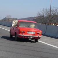 A horse and a red car? what else but a ferrari.. -2