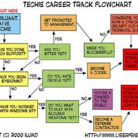 IT worker career prospects