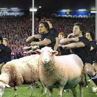 Origins of the Haka (NZ)
