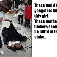 Stop the rot.........