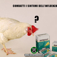 Let's beat the chicken's flu