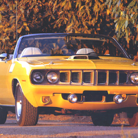 OR Cuda like this 1