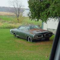 Cuda like this 1