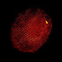 weird alien artifact