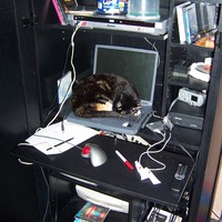 HARD AT WORK